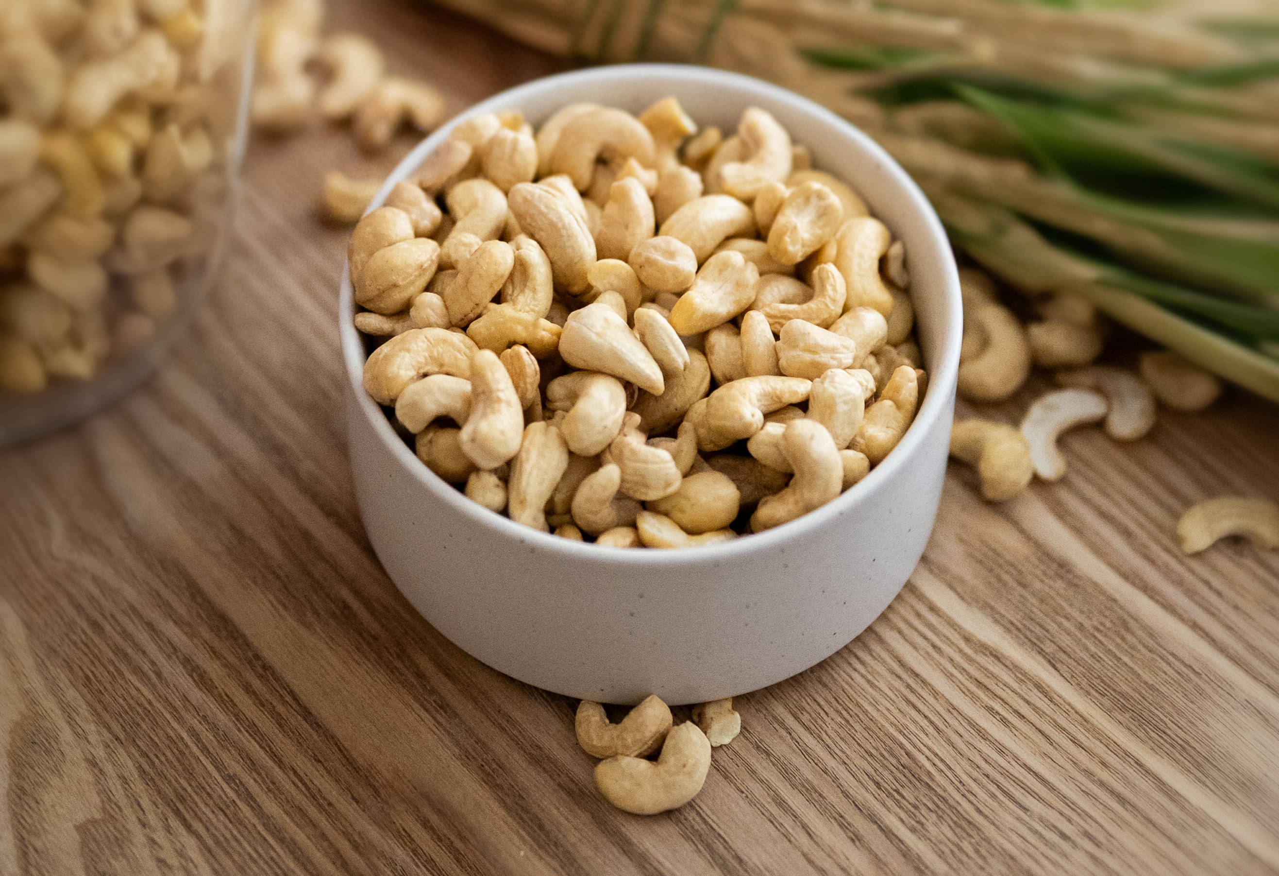 Cashew wächst
