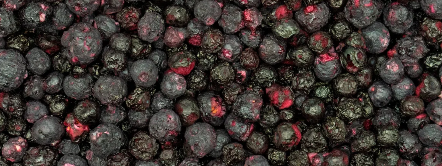 Gefriergetrocknete Heidelbeeren Grizly