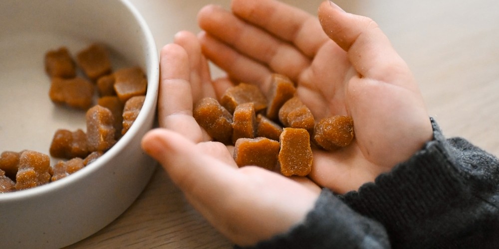 Mango Teddies Bonbons ohne Zucker Grizly