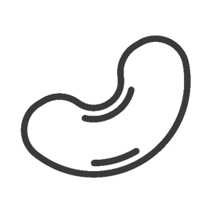 Herz-Icon