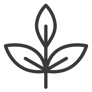 Herz-Icon