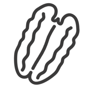 Nuss-Icon
