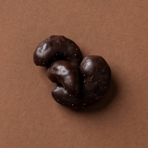Cashewkerne in Zartbitterschokolade