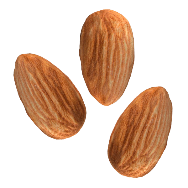 Cashew
