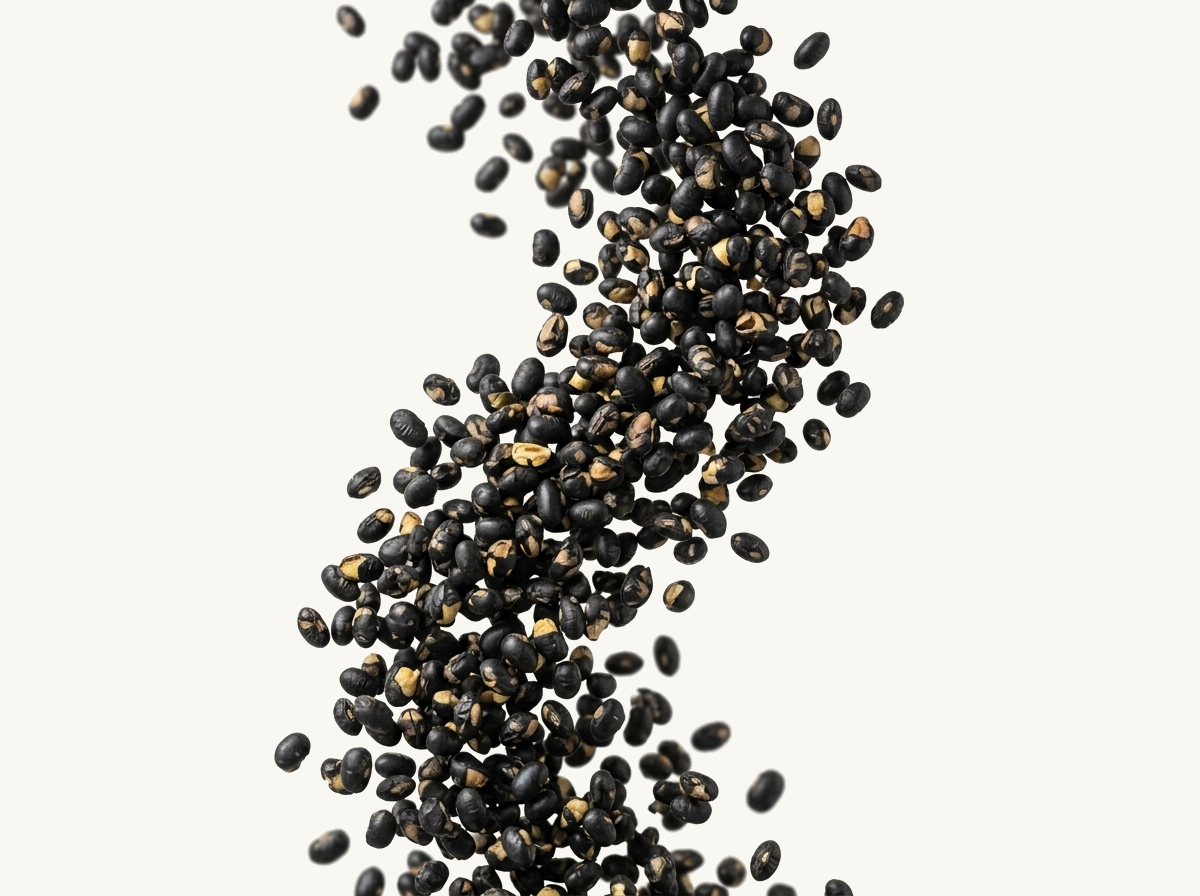 geröstete schwarze Bohnen