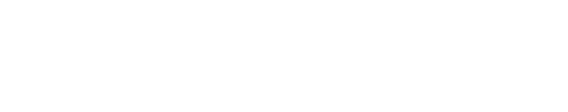 Zubereitung des Tees