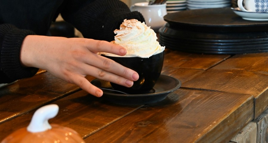 Gesunde Lebensmittel – Zutaten für Kürbispüree und pumpkin latte Grizly