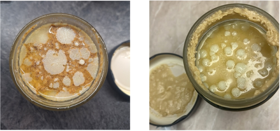 Fettreif ist kein Schimmel – Nussbutter Grizly