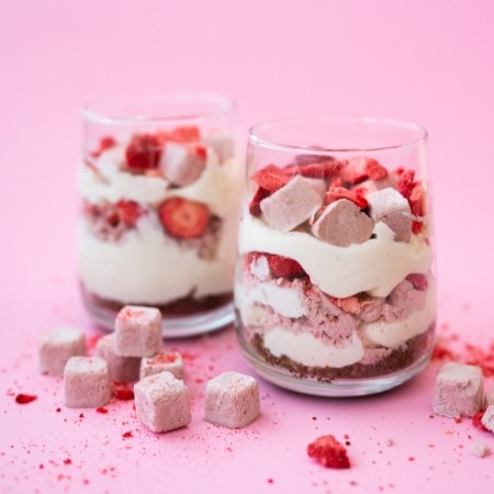 Gefriergetrocknete Erdbeeren mit Kokosmilch Grizly