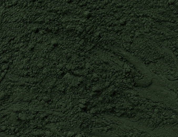 Detailaufnahme von Spirulina
