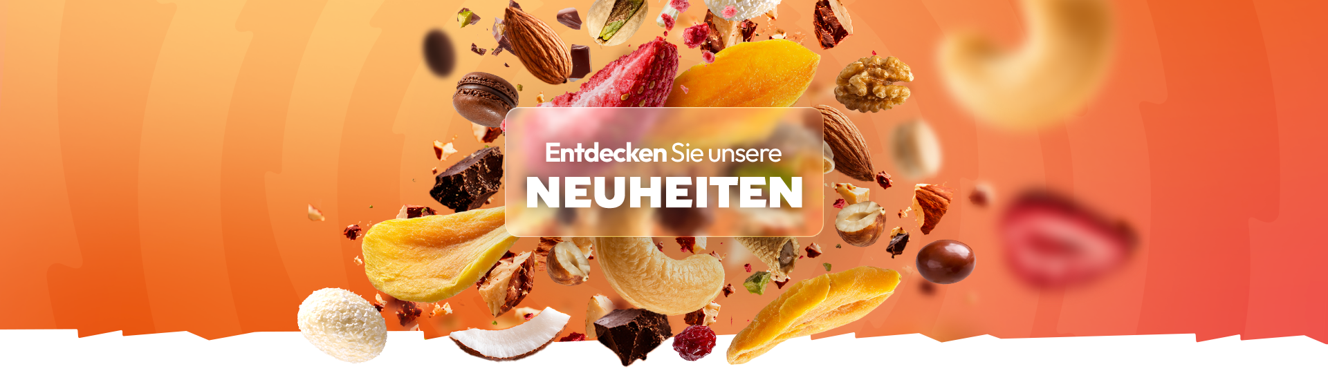 Entdecken Sie unsere Neuheiten