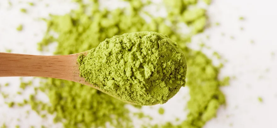 Matcha Tee: Die Kraft der Natur, die Sie wach hält