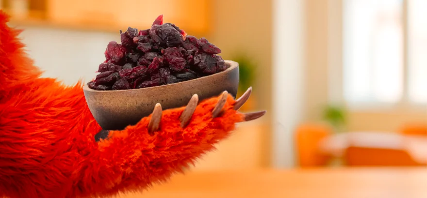 Wie wählt man die richtigen Beeren aus? Grizly berät Sie