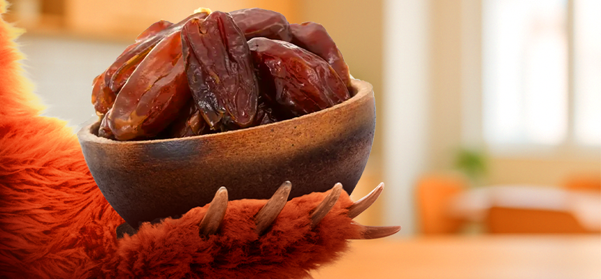 Wie wählt man die richtigen Datteln aus? Grizly berät Sie