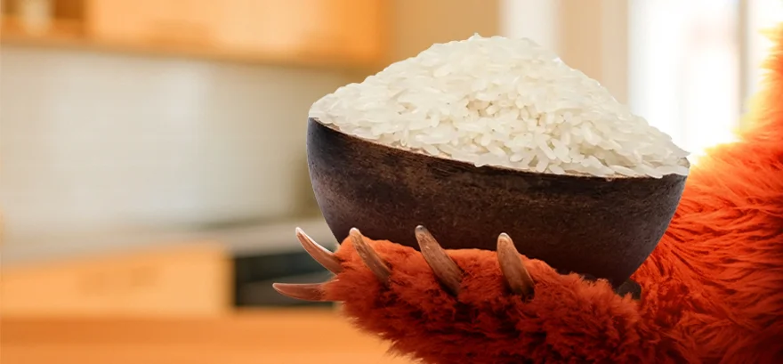 Wie wählen Sie den richtigen Reis? GRIZLY zeigt’s Ihnen