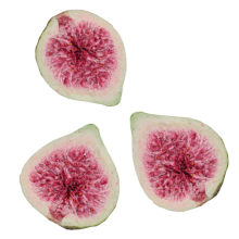 Feigen