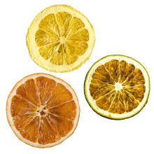 Citrusfruechte