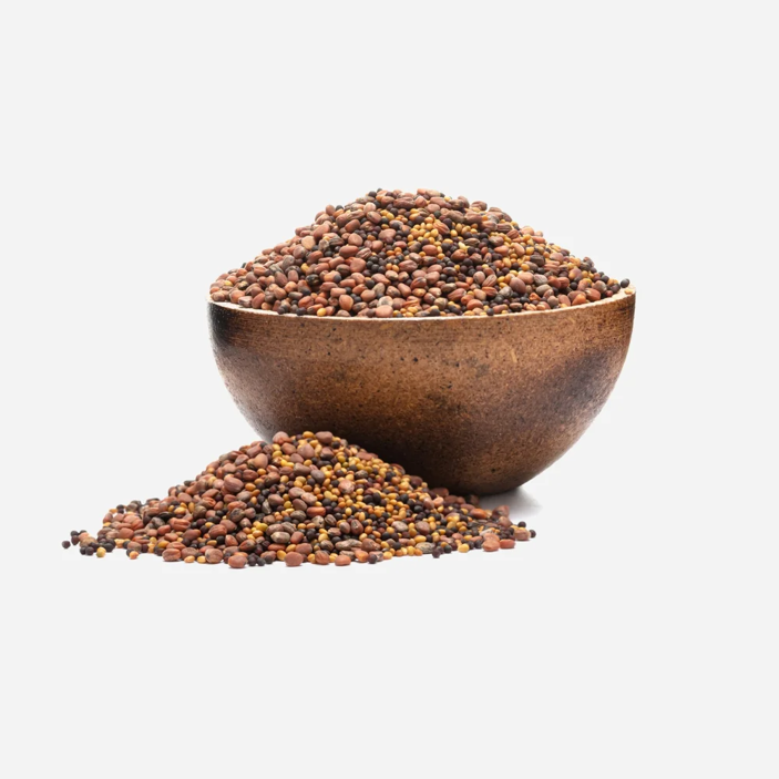 Brokkoli, Rettich, Klee BIO Keimsaat-Mix