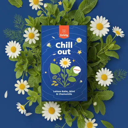 Chill out BIO Kräutertee
