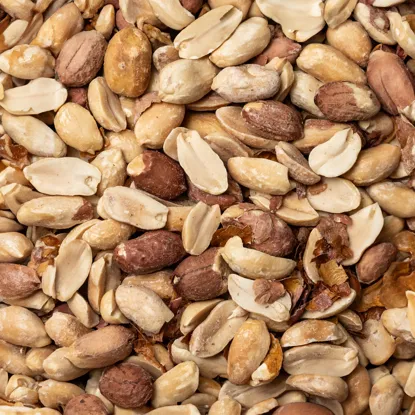 Erdnüsse in der Haut geröstet & gesalzen