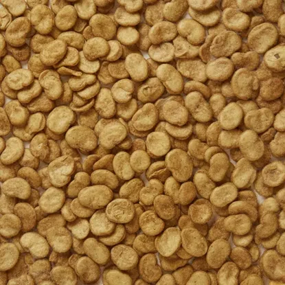 Gesalzene Bohnenchips