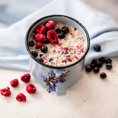 Haferbrei Himbeere & Heidelbeere 6 x 60 g