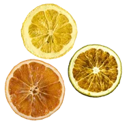 Citrusfruechte