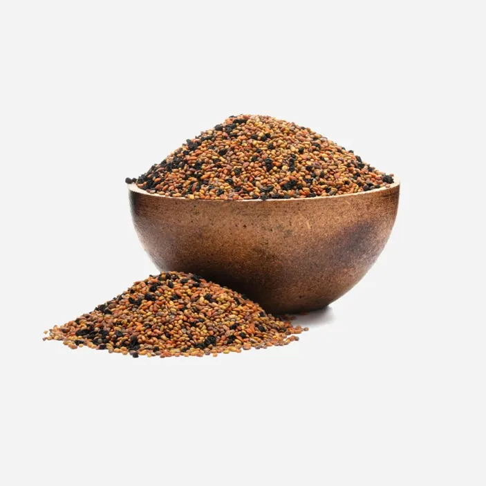 Keimsaat Mix Allegro BIO