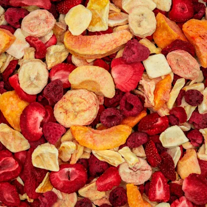 Lyo-Früchte Mix