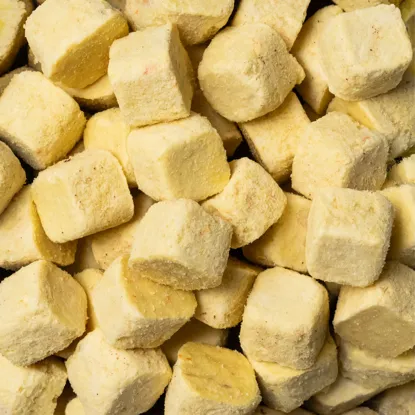 LYO Kokoswürfel Mango mit Karotte