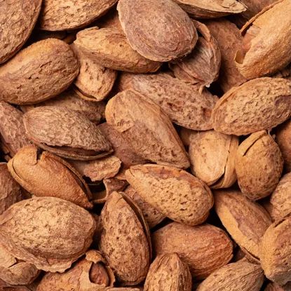 Mandeln in der Schale