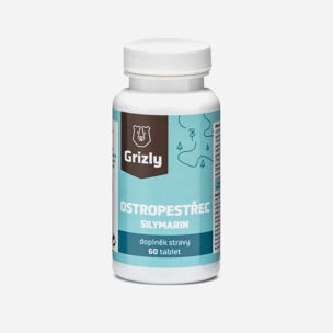 Mariendistel mit Silymarin 60 Tabletten