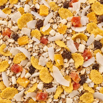 Müsli Mango & Kokos