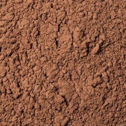 Natürlicher Kakaopulver