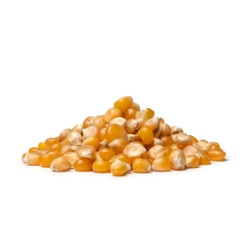 Popcorn-Mais