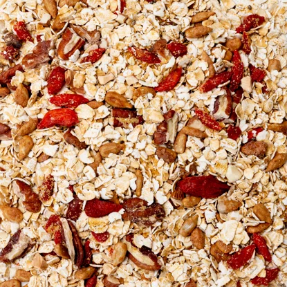 Porridge Nüsse & Samen