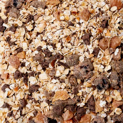 Porridge Zartbitterschokolade & Haselnüsse 6 x 60 g