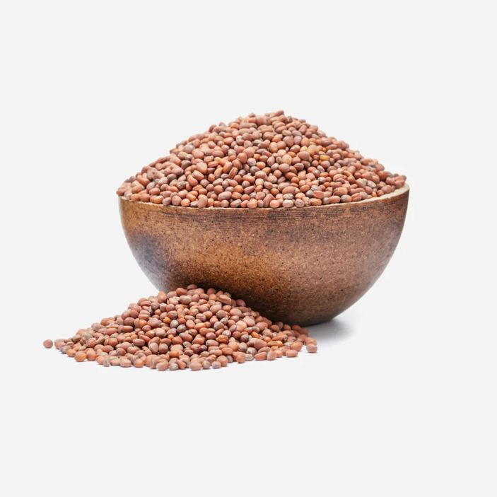 Radieschensamen BIO Keimsaat