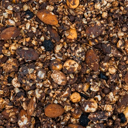 Schoko-Granola Zartbitter mit Heidelbeeren