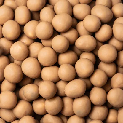 Skinny Dipped Hazelnuts in salted caramel