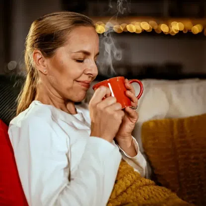 Weihnachtstee BIO