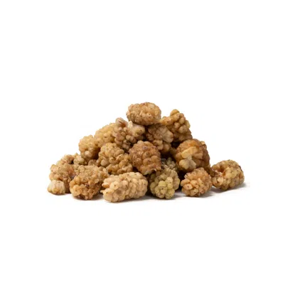 Weiße Maulbeere BIO