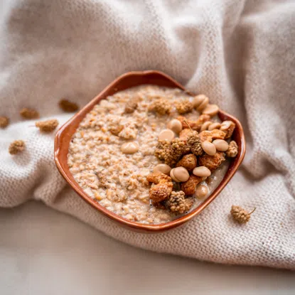 Weiße Maulbeere BIO