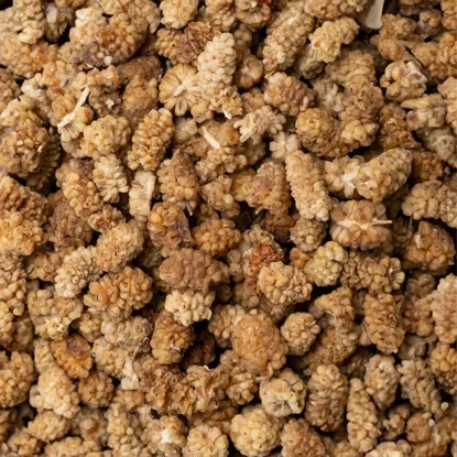 Weiße Maulbeeren BIO